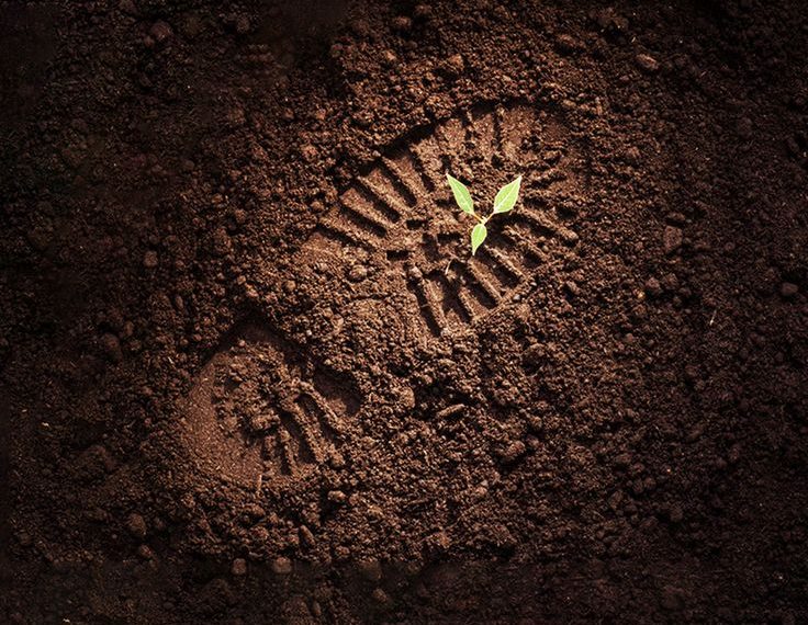 Menyeimbangkan Kebutuhan Industri dan Pemeliharaan Keseimbangan Alam